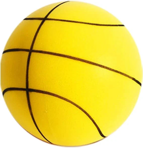 Leiser Basketball
